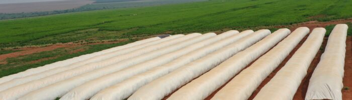 Poscosecha: la nueva frontera de la eficiencia agrícola
