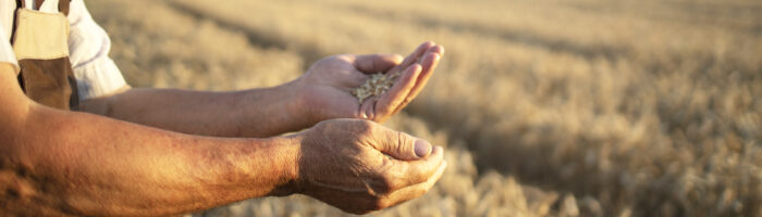 Récord de agroexportaciones en el primer semestre