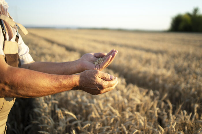Récord de agroexportaciones en el primer semestre