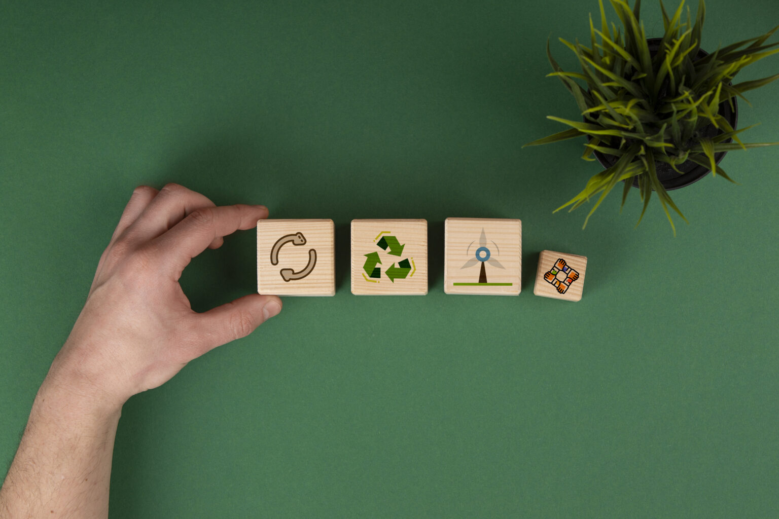 Nace BS Capital Partners para acercar financiamiento sustentable a pymes y ONGs