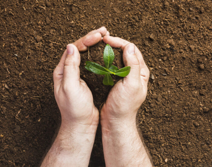 Especialistas en biofertilizantes ganan competencia de KPMG en México